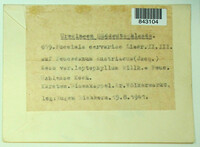 Image Associated With the Occurence